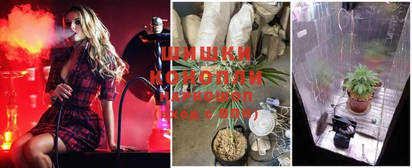 прущие крисы Магадан