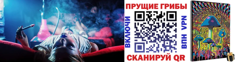 Купить Бакал Псилоцибиновые грибы Magic Shrooms