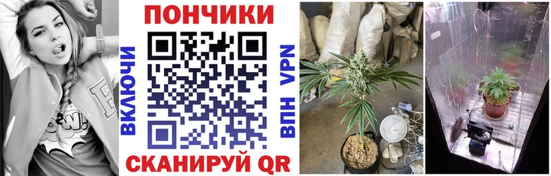 Марихуана тримм  Купить закладки  Бакал 